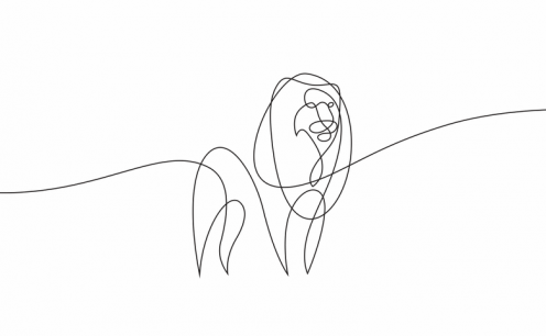 Dupla desenha animais com apenas uma linha