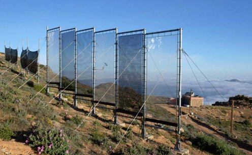 Startup cria projeto para transformar neblina em água potável  