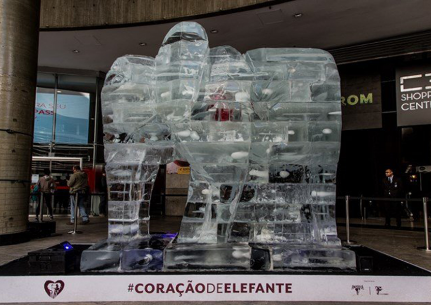 Com uma escultura em gelo de três metros colocada na Paulista, Amarula alerta sobre extinção dos elefantes! 