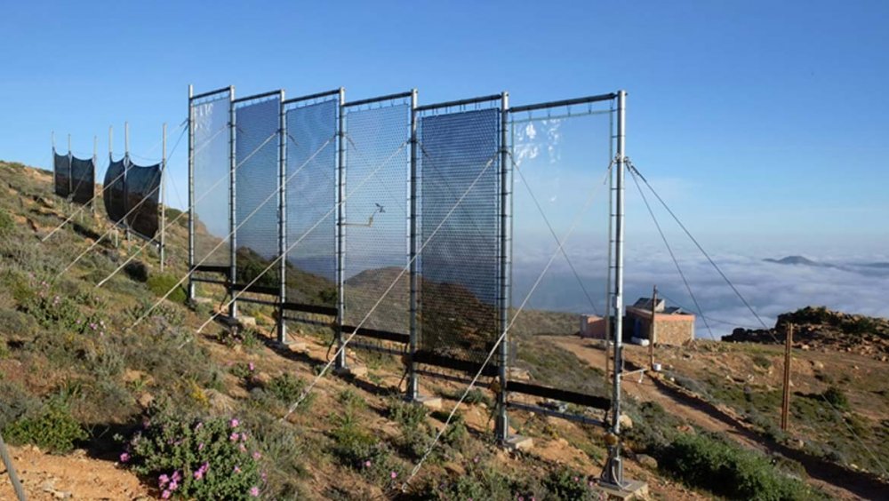 Startup cria projeto para transformar neblina em água potável  